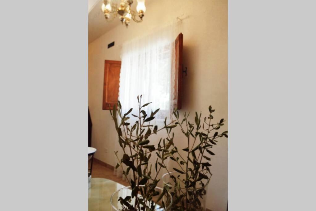 Trulli Monteforte Villa Castelli المظهر الخارجي الصورة