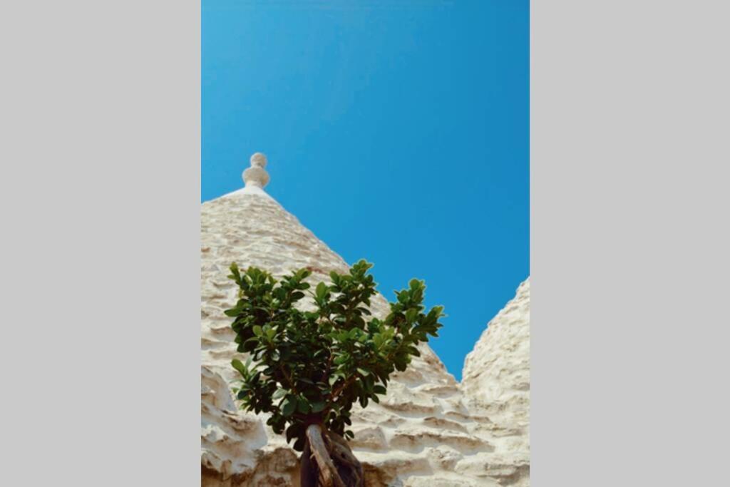 Trulli Monteforte Villa Castelli المظهر الخارجي الصورة